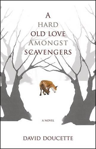 Cover image for A Hard Old Love Amongst Scavengers