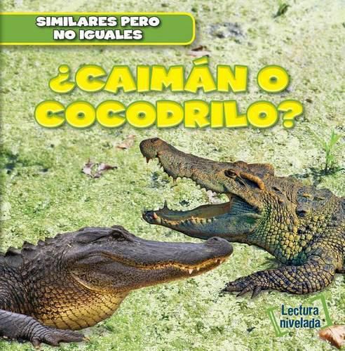 Cover image for ?Caiman O Cocodrilo? (Alligator or Crocodile?)