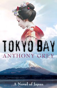 Cover image for Tokyo Bay: A Novel of Japan