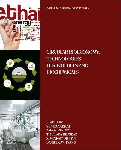 Cover image for Biomass, Biofuels, Biochemicals: Circular Bioeconomy: Technologies for Biofuels and Biochemicals