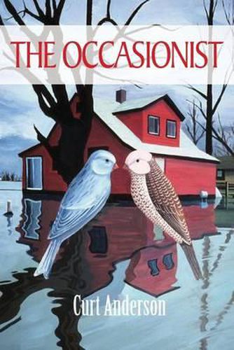 Cover image for The Occasionist