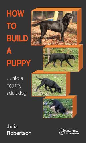 Cover image for How to Build a Puppy: ...Into a healthy adult dog