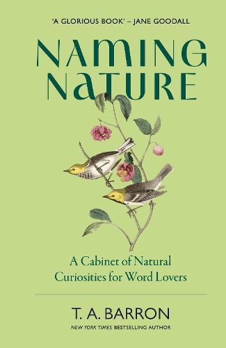 Cover image for Naming Nature