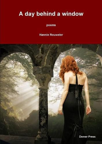 Cover image for A day behind a window