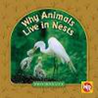 Cover image for Why Animals Live in Nests