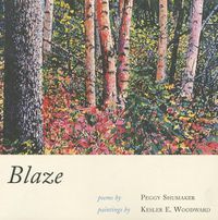 Cover image for Blaze