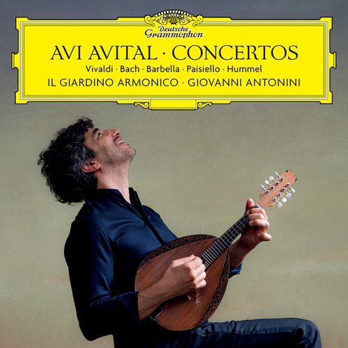 Cover image for Concertos: Works by Vivaldi, J.S. Bach, Barbella, Paisiello, Hummel