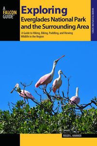 Cover image for Exploring Everglades National Park and the Surrounding Area: A Guide to Hiking, Biking, Paddling, and Viewing Wildlife in the Region