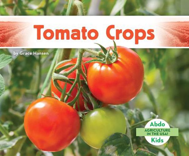 Cover image for Tomato Crops