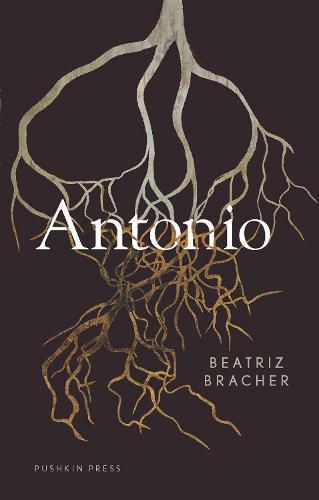 Cover image for Antonio