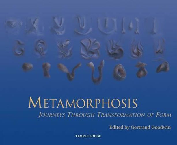 Cover image for Metamorphosis: Journeys Through Transformation of Form