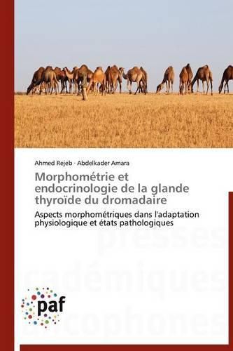 Cover image for Morphometrie Et Endocrinologie de la Glande Thyroide Du Dromadaire