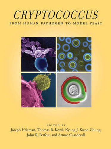 Cover image for Cryptococcus: From Human Pathogen to Model Yeast