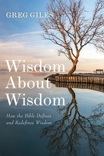 Cover image for Wisdom about Wisdom