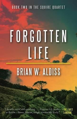 Cover image for Forgotten Life