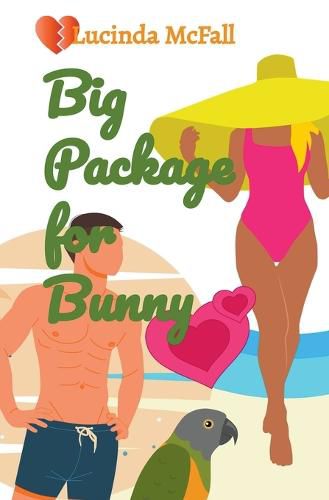 Cover image for Big Package for Bunny