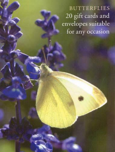 Cover image for Butterfly Large Card Box