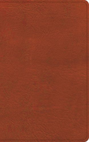 Cover image for CSB Single-Column Personal Size Reference Bible, Burnt Sienna Leathertouch