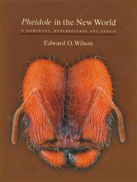 Cover image for Pheidole in the New World: A Dominant, Hyperdiverse Ant Genus
