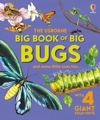 Big Book of Big Bugs