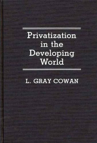 Cover image for Privatization in the Developing World