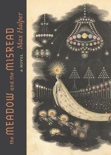 Cover image for The Meadow and the Misread