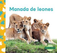 Cover image for Manada de leones (Lion Pride)