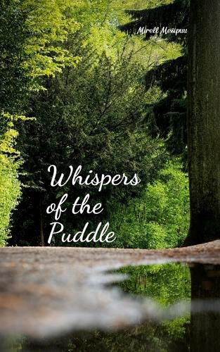 Whispers of the Puddle