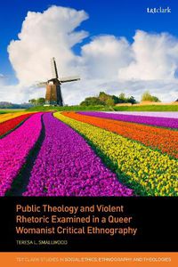 Cover image for Public Theology and Violent Rhetoric Examined in a Queer Womanist Critical Ethnography