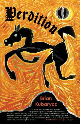 Cover image for Perdition