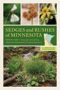 Cover image for Sedges and Rushes of Minnesota: The Complete Guide to Species Identification