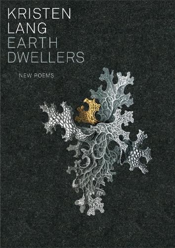 Cover image for Earth Dwellers