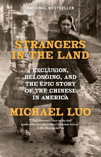 Cover image for Strangers in the Land