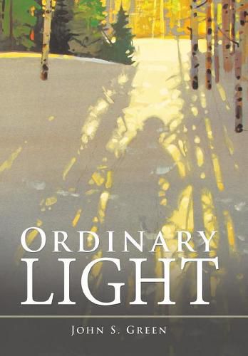 Cover image for Ordinary Light