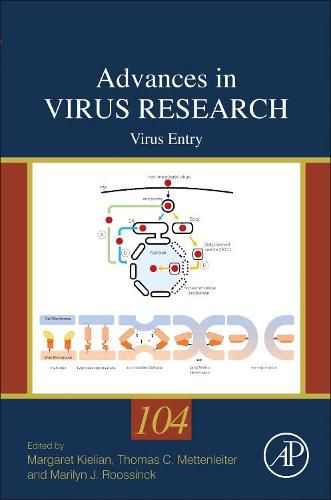 Cover image for Virus Entry