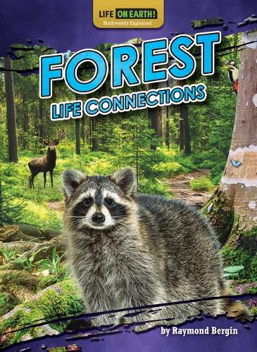 Cover image for Forest Life Connections