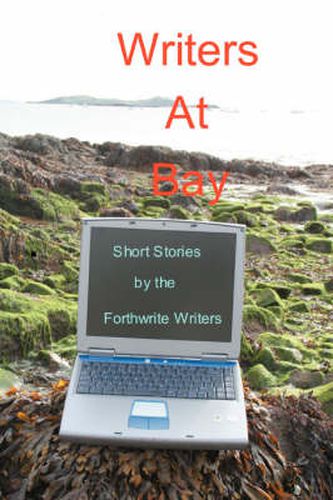 Cover image for Writers at Bay