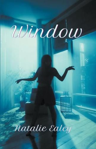 Cover image for Window