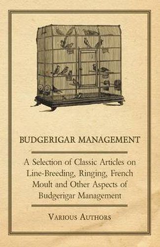 Cover image for Budgerigar Management - A Selection of Classic Articles on Line-Breeding, Ringing, French Moult and Other Aspects of Budgerigar Management