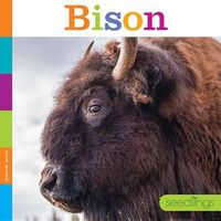 Cover image for Bison