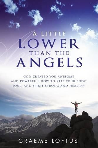 Cover image for A Little Lower Than the Angels