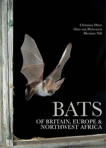 Cover image for Bats of Britain, Europe and Northwest Africa