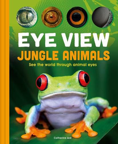 Cover image for Eye View: Jungle Animals