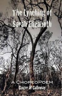 Cover image for The Lynching of Sarah Elizabeth