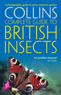 Cover image for British Insects: A Photographic Guide to Every Common Species