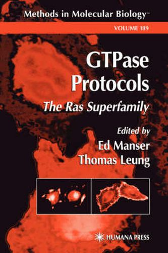 Cover image for GTPase Protocols: The Ras Superfamily