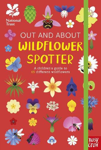 Cover image for National Trust: Out and About: Wildflower Spotter