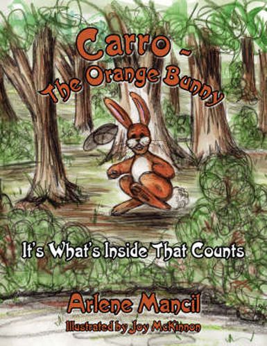 Cover image for Carro-The Orange Bunny