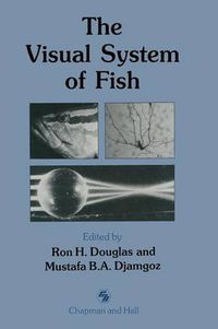 Cover image for The Visual System of Fish