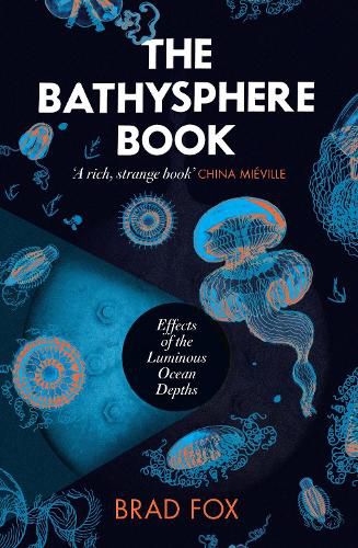 Cover image for The Bathysphere Book